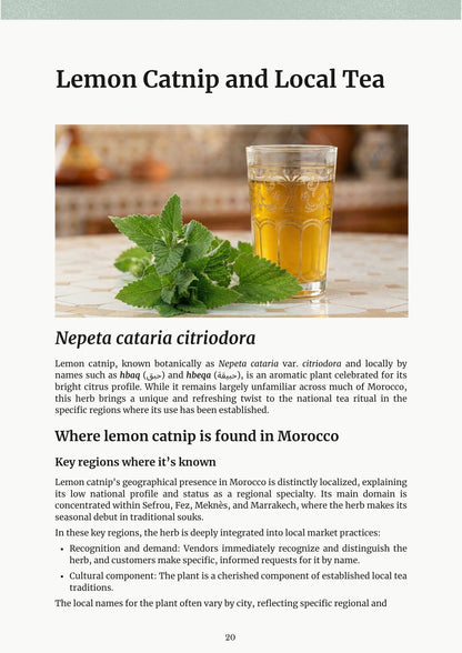 Moroccan Tea ebook page — lemon catnip, Nepeta cataria citriodora, and glass of tea on table with blurred background