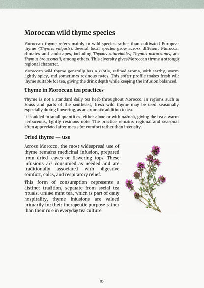 Moroccan Tea ebook page — Moroccan wild thyme species with thyme flowers